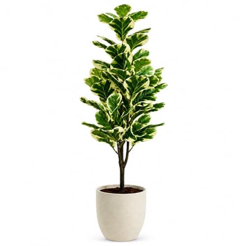 edihome, Planta Artificial Grande, Ficus Artificial 120 cm, Decorativas, Árbol, Decoración Hogar, para Interior, Oficina, Hoteles, Eventos