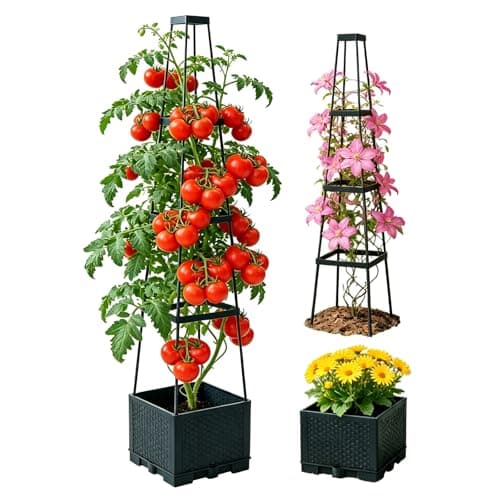 Rehomy Maceta Tomatera