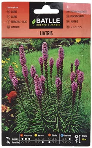 Semillas Batlle Liatris, semillas para plantar